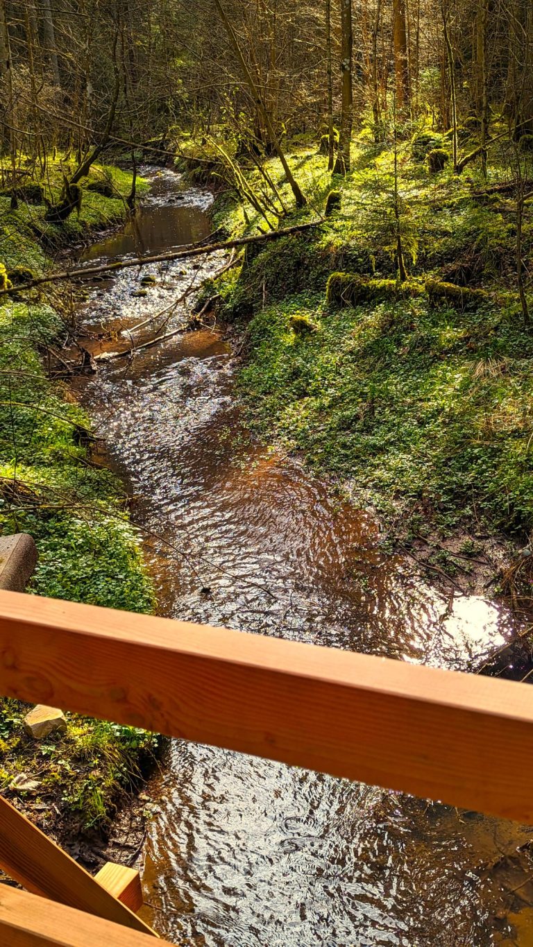 Hagenbachbrücke